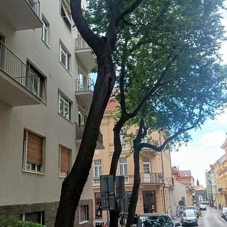 Nice Flat Under The Castle Bratislava Exteriör bild